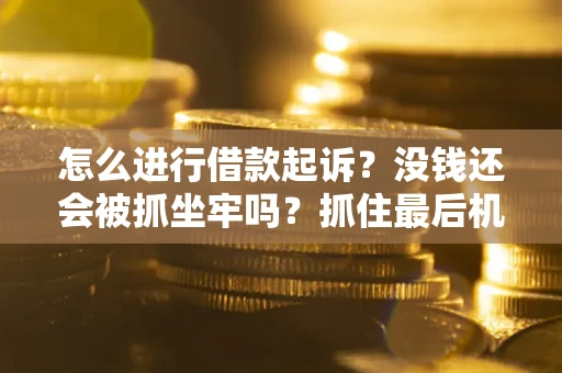 济南怎么进行借款起诉？没钱还会被抓坐牢吗？抓住最后机会！