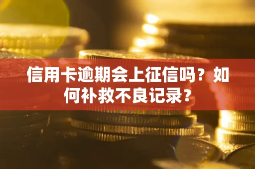 济南信用卡逾期会上征信吗？如何补救不良记录？