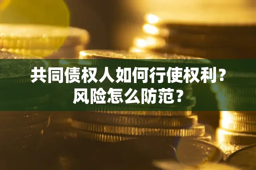 济南共同债权人如何行使权利？风险怎么防范？