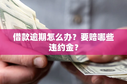 济南借款逾期怎么办？要赔哪些违约金？